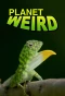 Poster for Planet Weird