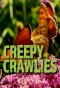 Poster for Creepy Crawlies