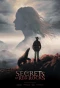 Poster for Secrets at Red Rocks