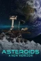Poster for Asteroids: A New Horizon