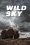 Poster for Wild Sky