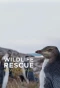 Poster for Wildlife Rescue New Zealand