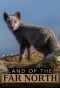 Poster for Polartag/Polarnacht