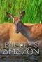 Poster for Europe's Amazon