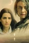 Poster for Fireflies