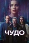Poster for Wonder