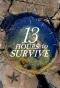 Poster for 13 Hours to Survive