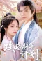 Poster for Gong Lve Jiang Jun Ji Hua