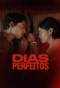 Poster for Dias Perfeitos