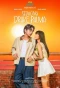 Poster for Seducing Drake Palma