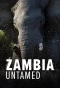 Poster for Zambia Untamed