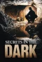 Poster for Secrets in the Dark