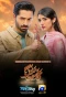 Poster for Mann Mast Malang