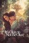 Poster for It's Okay to Not Be Okay