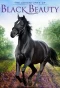 Poster for The Adventures of Black Beauty