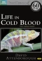 Poster for Life in Cold Blood