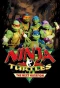 Poster for Ninja Turtles: The Next Mutation