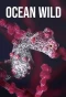 Poster for Ocean Wild