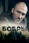 Poster for Бобры