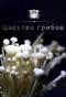 Poster for Царство грибов