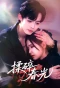 Poster for Fragments of Spring