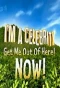 Poster for I'm a Celebrity, Get Me Out of Here! NOW!