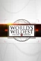 Poster for World's Wildest Police Videos