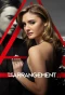 Poster for The Arrangement
