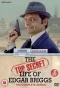 Poster for The Top Secret Life of Edgar Briggs