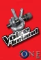Poster for The Voice of Ireland