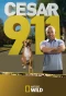 Poster for Cesar 911