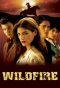 Poster for Wildfire