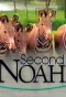 Poster for Second Noah