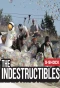 Poster for The Indestructibles
