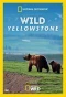 Poster for Wild Yellowstone