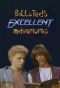 Poster for Bill & Ted's Excellent Adventures
